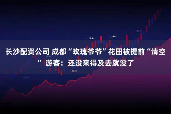 长沙配资公司 成都“玫瑰爷爷”花田被提前“清空” 游客：还没来得及去就没了